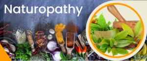 Naturopathy Treatment Centre in Pune