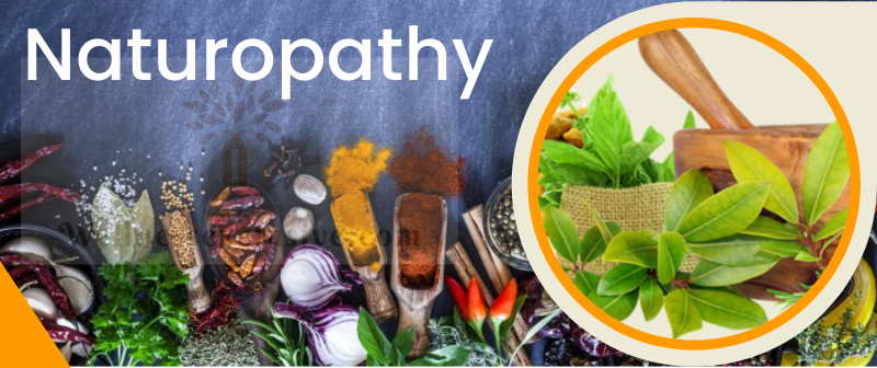 Naturopathy Treatment Centre in Pune